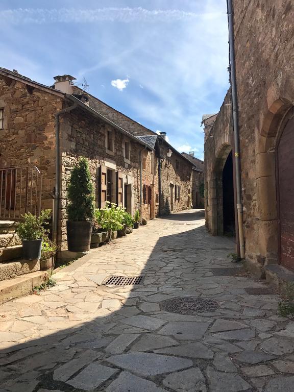 La Petite Maison Des Artistes Castelnau-Pégayrols Cameră foto